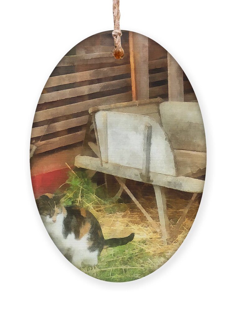 Cat Ornament featuring the photograph Farm Cat by Susan Savad