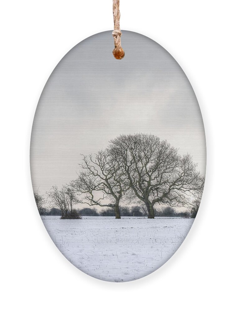 Farmer Ornament featuring the photograph Field Of Stone by Spikey Mouse Photography