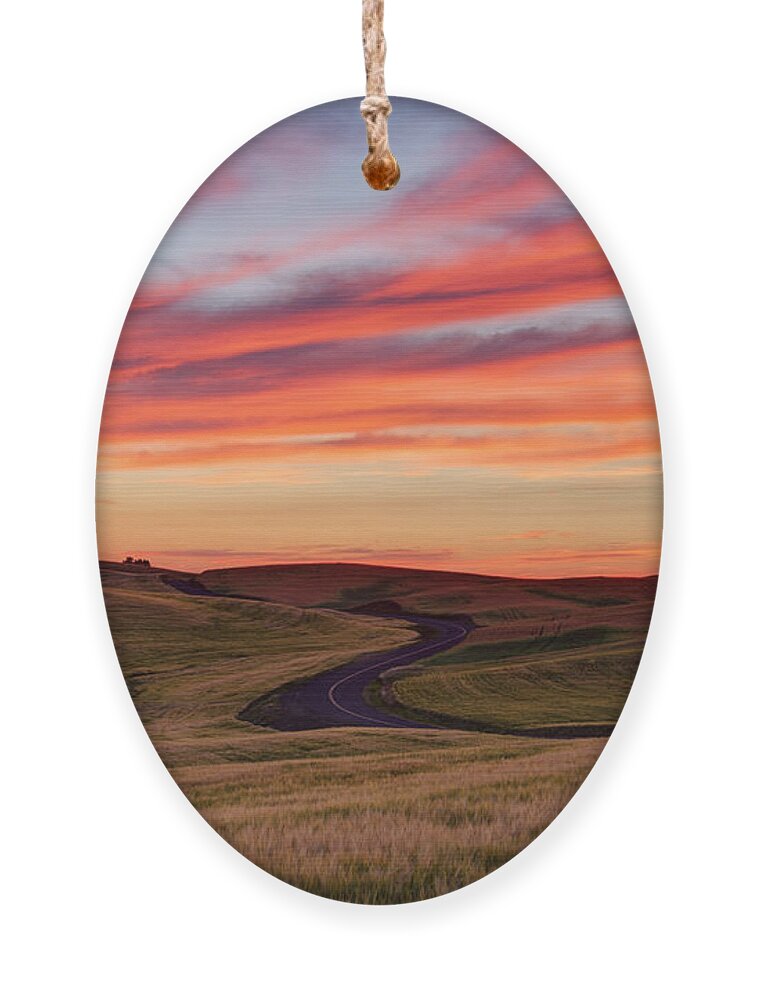 Wheat Ornament featuring the photograph Fields and Dreams by Mark Kiver