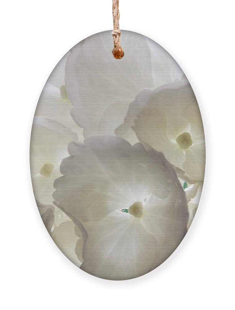 Hydrangea Ornament featuring the photograph Filtered Light by Shirley Mitchell