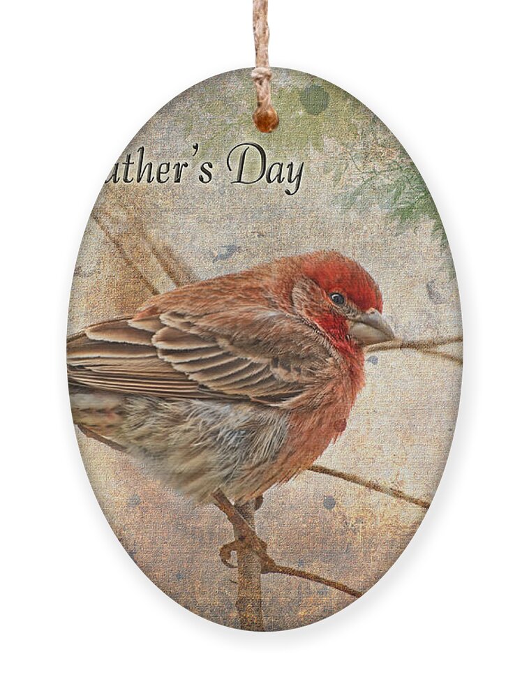 Nature Ornament featuring the photograph Finch Greeting Card Father's Day by Debbie Portwood