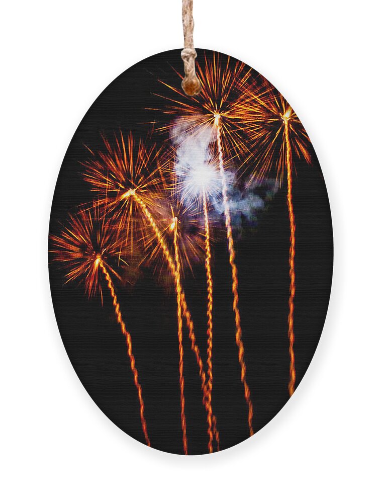 Fireworks Ornament featuring the photograph Fire Dandelion Bouquet by Weston Westmoreland