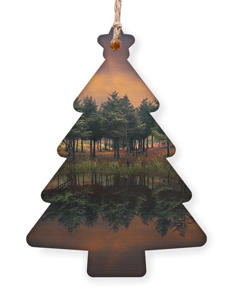 Appalachia Ornament featuring the photograph Fire by Debra and Dave Vanderlaan