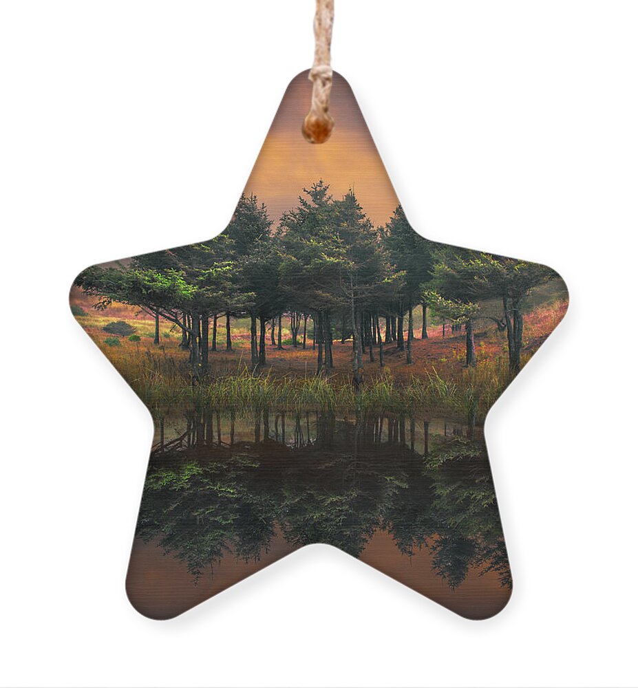 Appalachia Ornament featuring the photograph Fire by Debra and Dave Vanderlaan