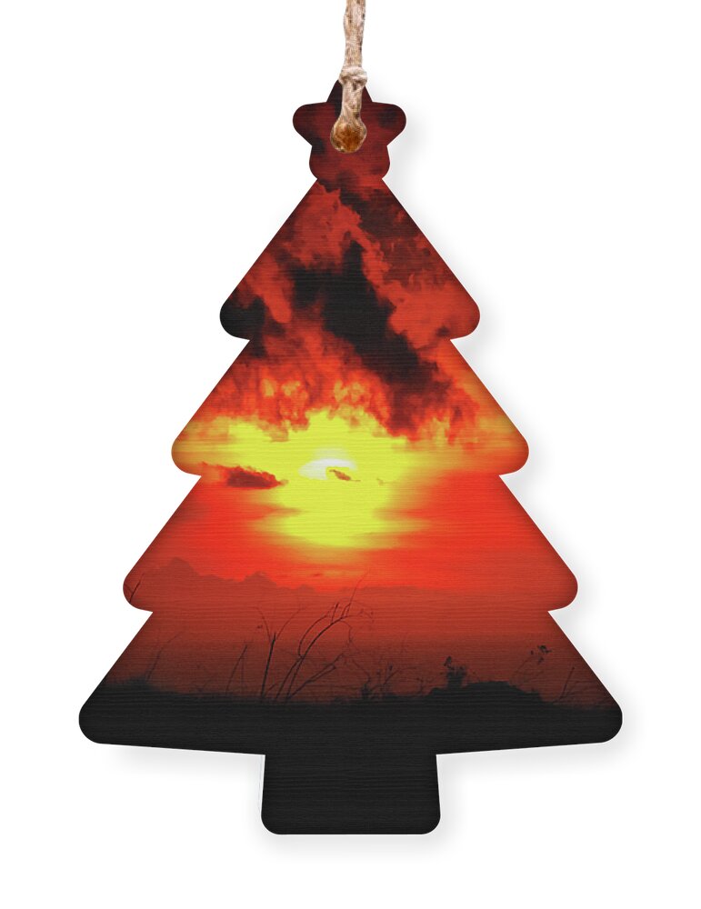 Warmth Ornament featuring the photograph Flaming Sunset by Christi Kraft