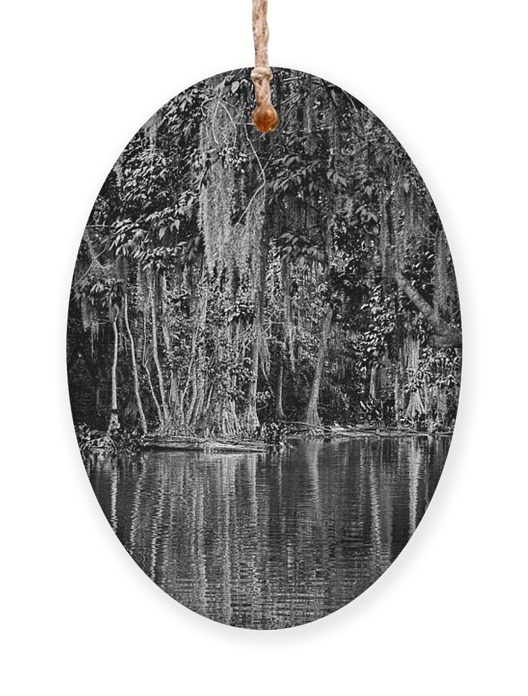 Christopher Holmes Photography Ornament featuring the photograph Florida Naturally 2 - BW by Christopher Holmes