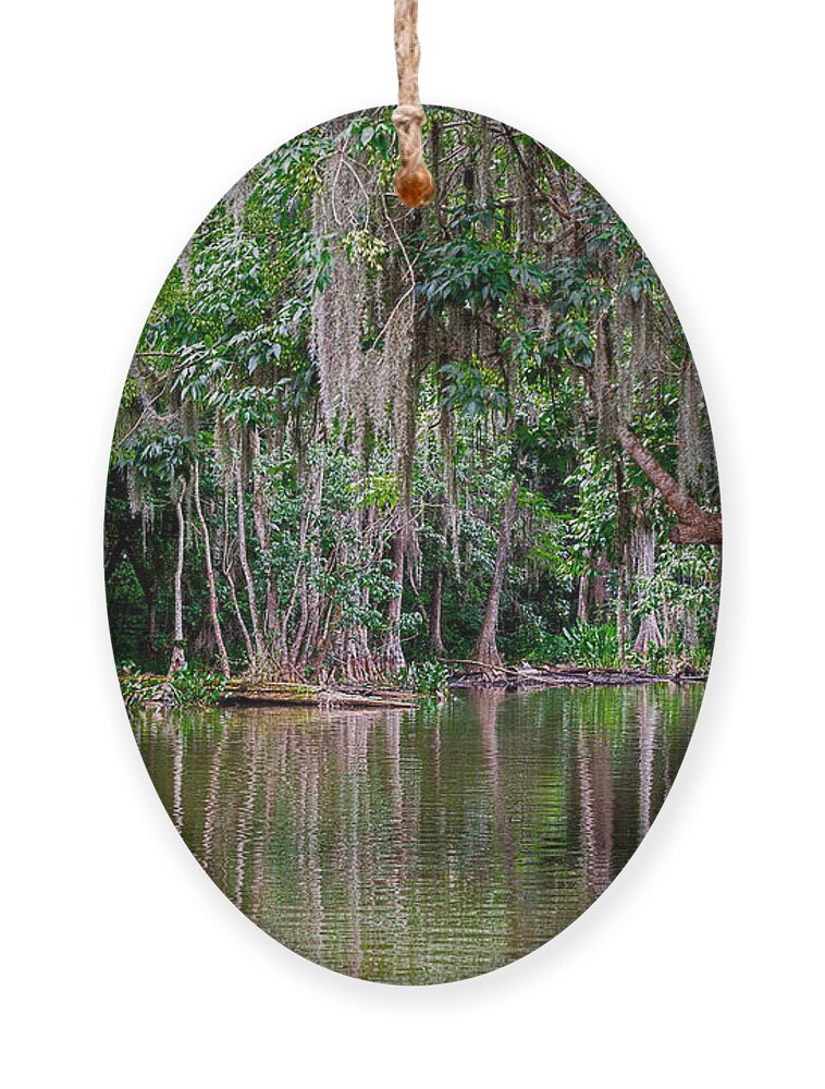 Christopher Holmes Photography Ornament featuring the photograph Florida Naturally 2 by Christopher Holmes