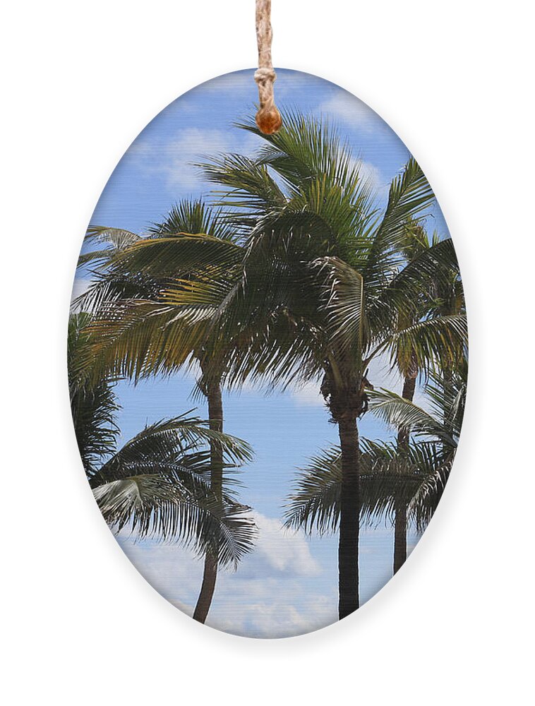 Palm Ornament featuring the photograph Florida Palms by Jayne Carney