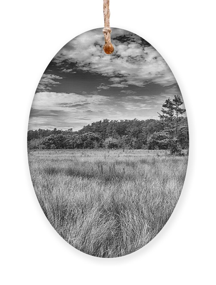 Florida Ornament featuring the photograph Florida SawGrass Prairie  by George Buxbaum