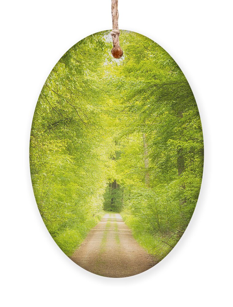 Path Ornament featuring the photograph Forest path leading into the light by Matthias Hauser