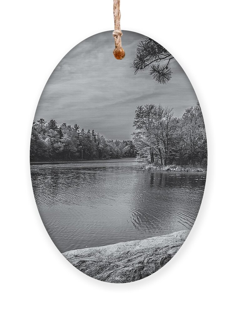 2013 Ornament featuring the photograph Fork In River BW by Mark Myhaver