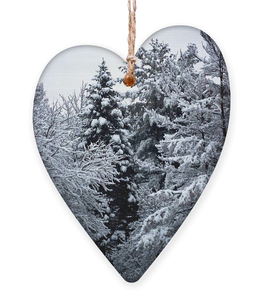 Fresh Snow Ornament featuring the photograph Fresh Snow by Frank J Casella