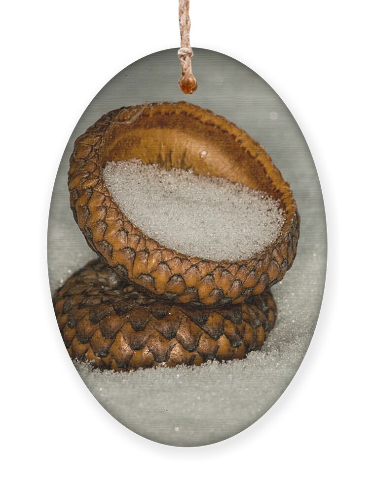 Nature Photograph Ornament featuring the photograph Frozen Acorn Cupule by Paul Freidlund