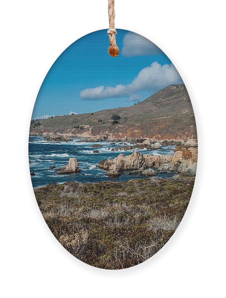 Big Sur Ornament featuring the photograph Garrapata State Park by George Buxbaum