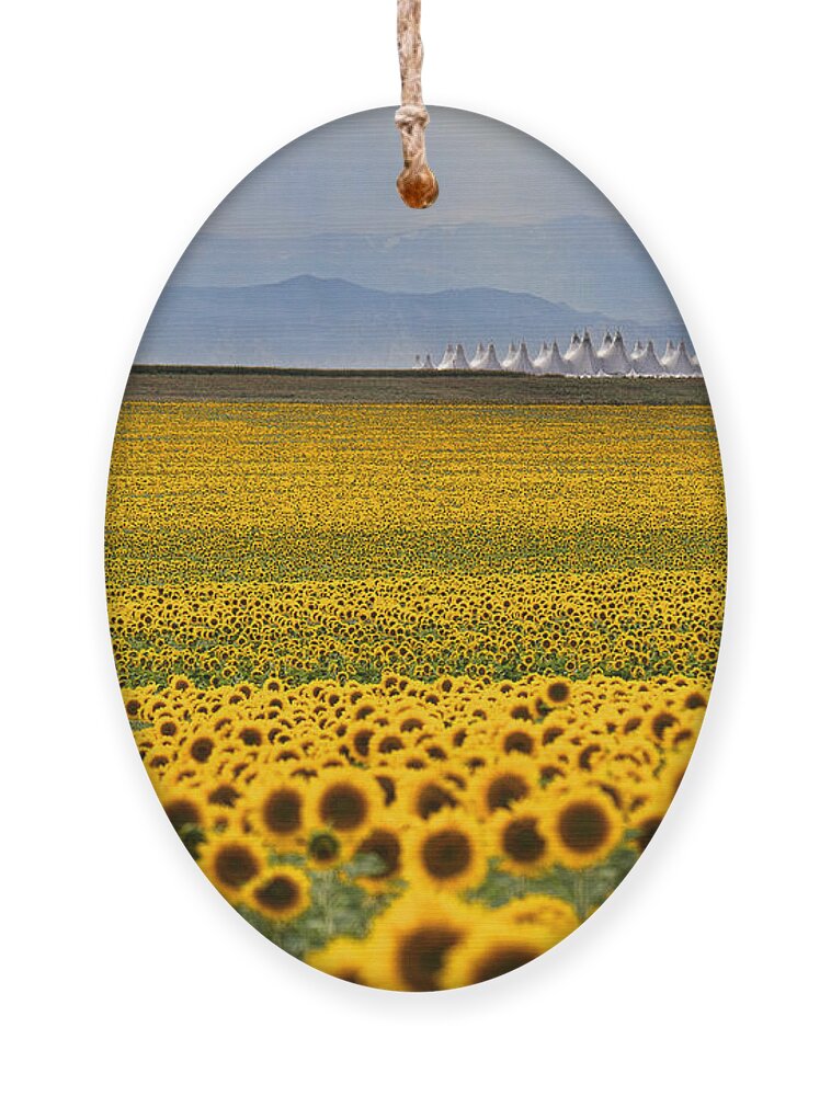 Flowers Ornament featuring the photograph Gateway to the Rockies by Jim Garrison