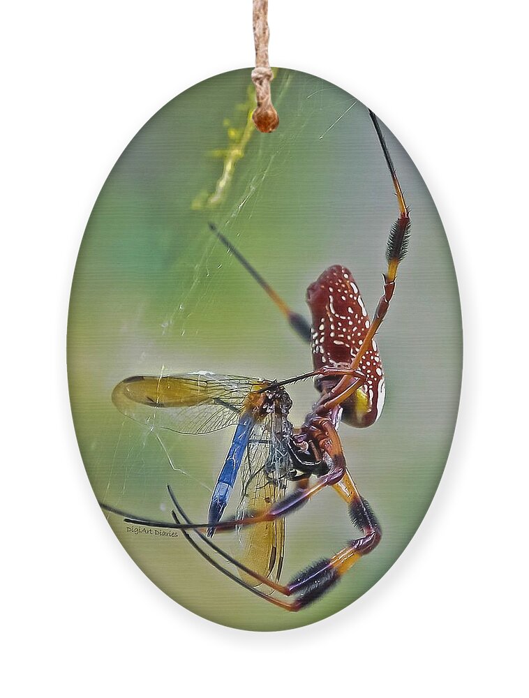 Spider Ornament featuring the digital art Golden Silk Orb with Blue Dragonfly by DigiArt Diaries by Vicky B Fuller