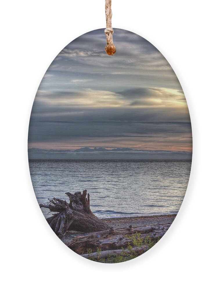 Beach Ornament featuring the photograph San Pareil Sunrise by Randy Hall