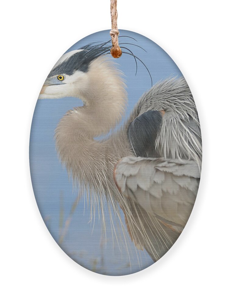 Great Blue Heron Ornament featuring the photograph Great Blue Heron by Bradford Martin