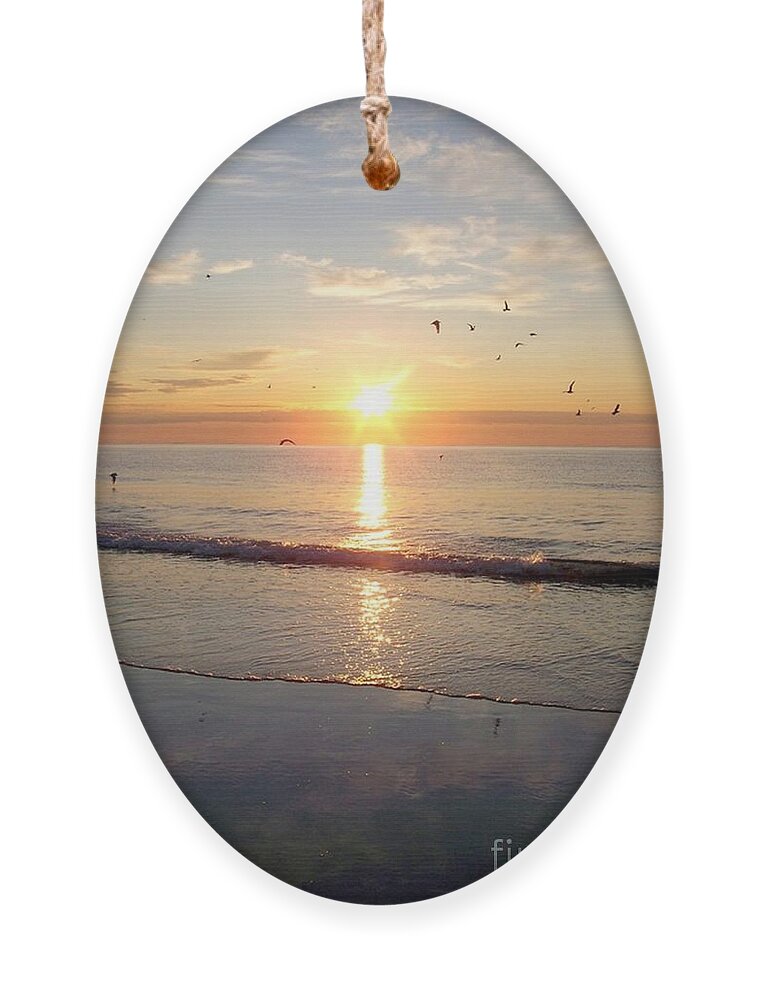 Seascape Ornament featuring the photograph Gulls Dance In The Warmth Of The New Day by Eunice Miller