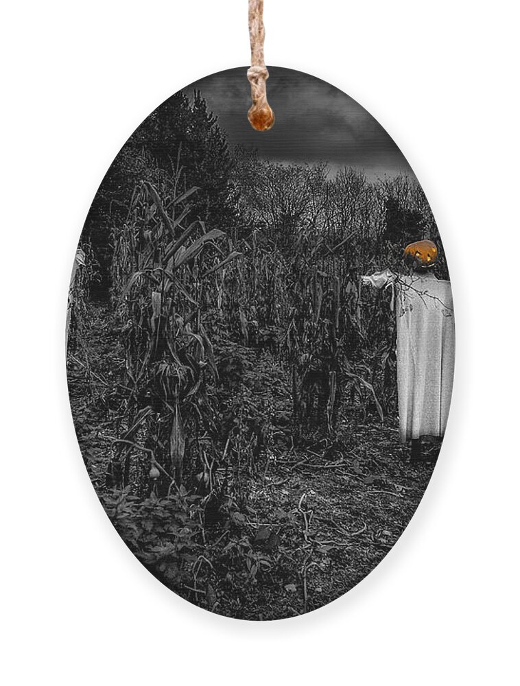 Halloween Ornament featuring the photograph Halloween is coming by Nigel R Bell
