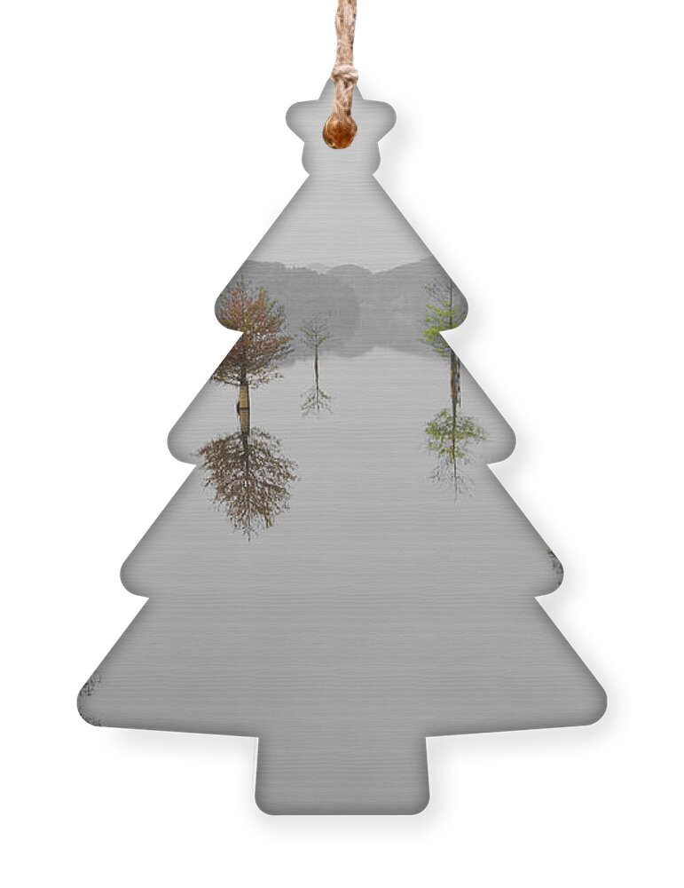 Appalachia Ornament featuring the photograph Hanging Garden by Debra and Dave Vanderlaan