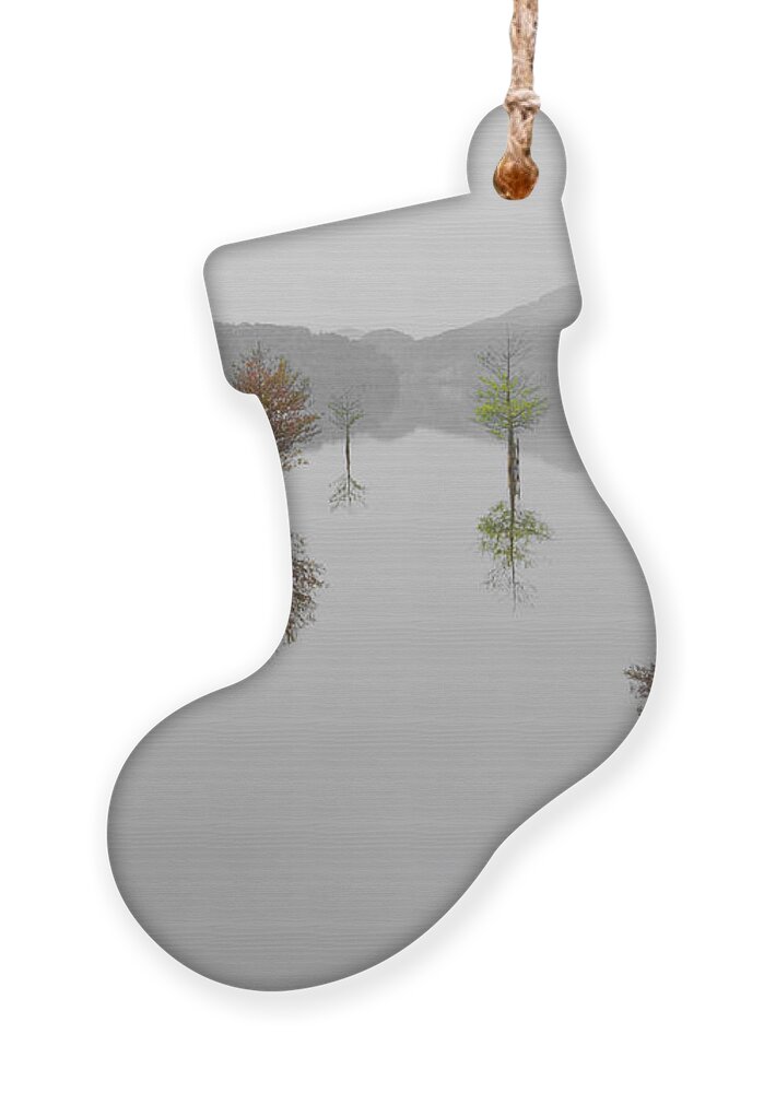 Appalachia Ornament featuring the photograph Hanging Garden by Debra and Dave Vanderlaan