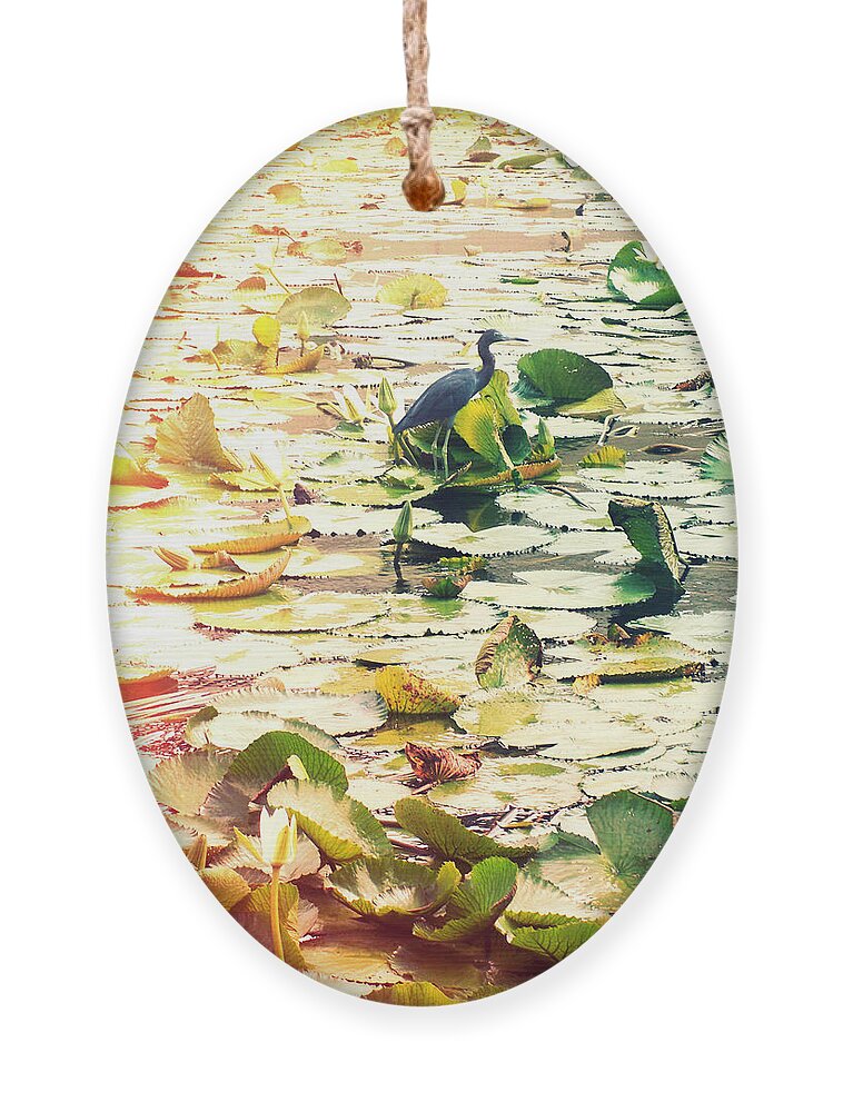 Florida Ornament featuring the photograph Heron Among Lillies Photography Light Leaks by Chris Andruskiewicz