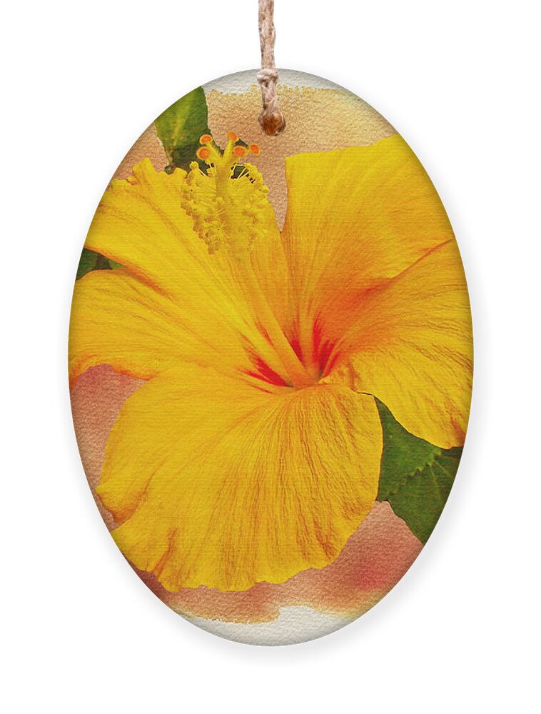 Hibiscus Ornament featuring the photograph Hibiscus - Mango Sunshine by Carol Senske