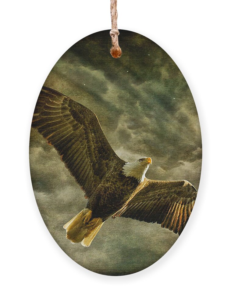 Eagle Ornament featuring the photograph Honor Bound In Blue by Lois Bryan