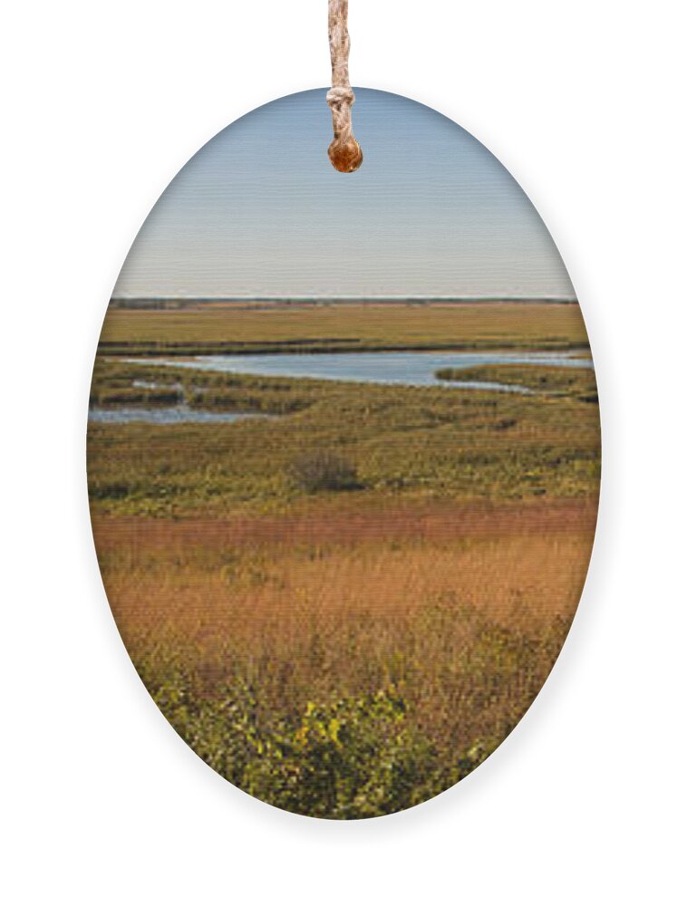 Birds Ornament featuring the photograph Horicon Marsh by Steven Ralser