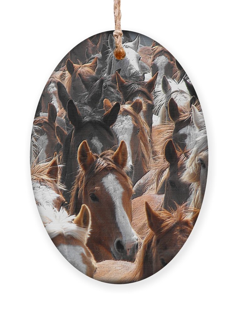 Horse Ornament featuring the photograph Horse Faces by Kae Cheatham