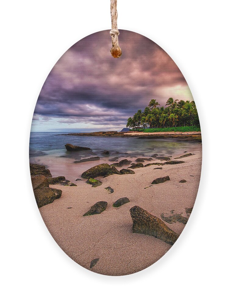  Ornament featuring the photograph Iluminated Beach by Anthony Michael Bonafede