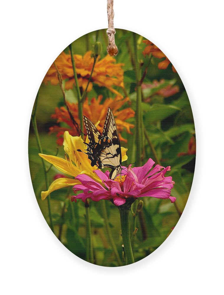 Fine Art Ornament featuring the photograph In Another World by Rodney Lee Williams