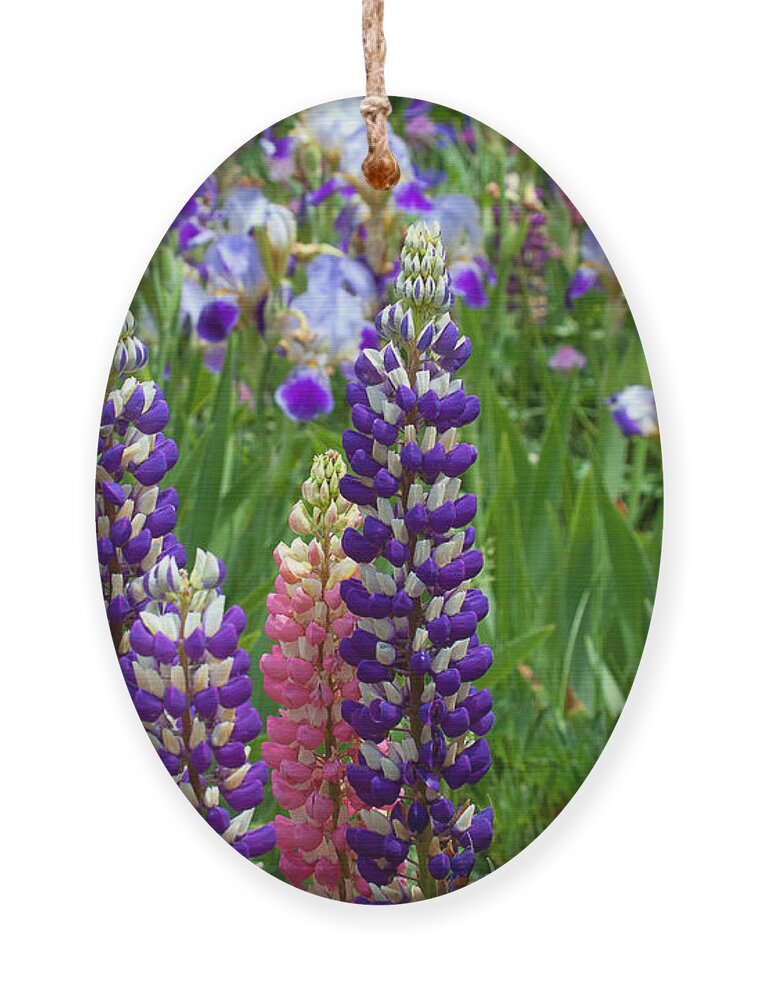 Flowers Photograph; Lupine Canvas Print Ornament featuring the photograph Below the Evergreen Dam by Jim Garrison
