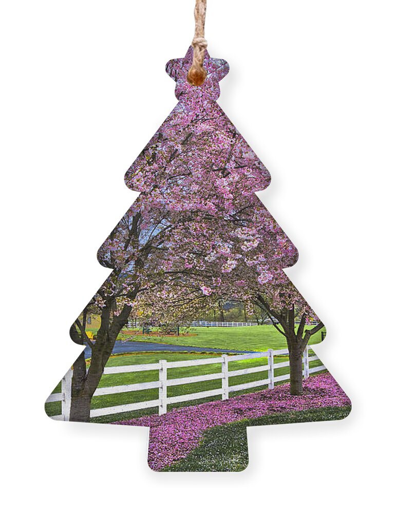 Andrews Ornament featuring the photograph In The Pink by Debra and Dave Vanderlaan