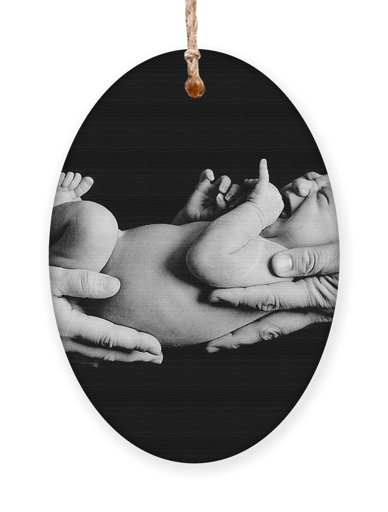 Newborn Ornament featuring the photograph In Your Hands by Sebastian Musial