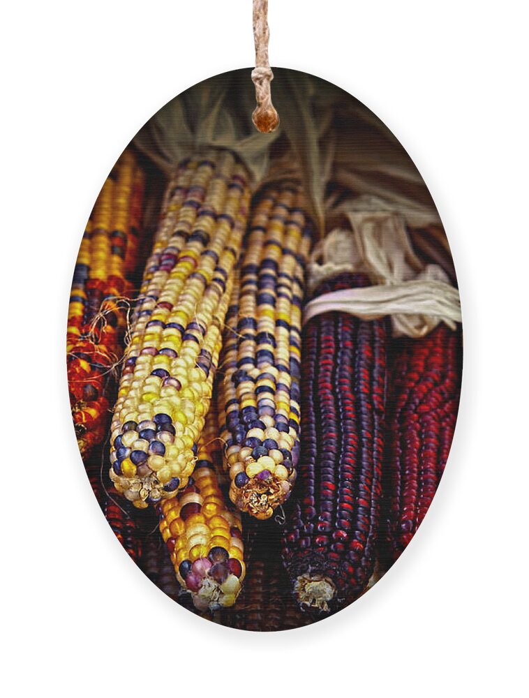 Corn Ornament featuring the photograph Indian corn by Elena Elisseeva