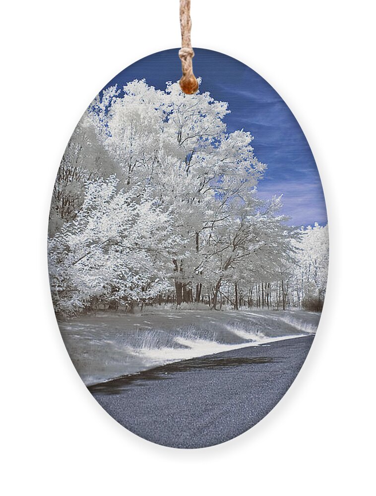 Landscape Ornament featuring the photograph Infrared Road by Anthony Sacco