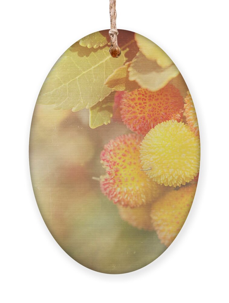 Arbutus Ornament featuring the photograph Irish Strawberries by Linda Lees