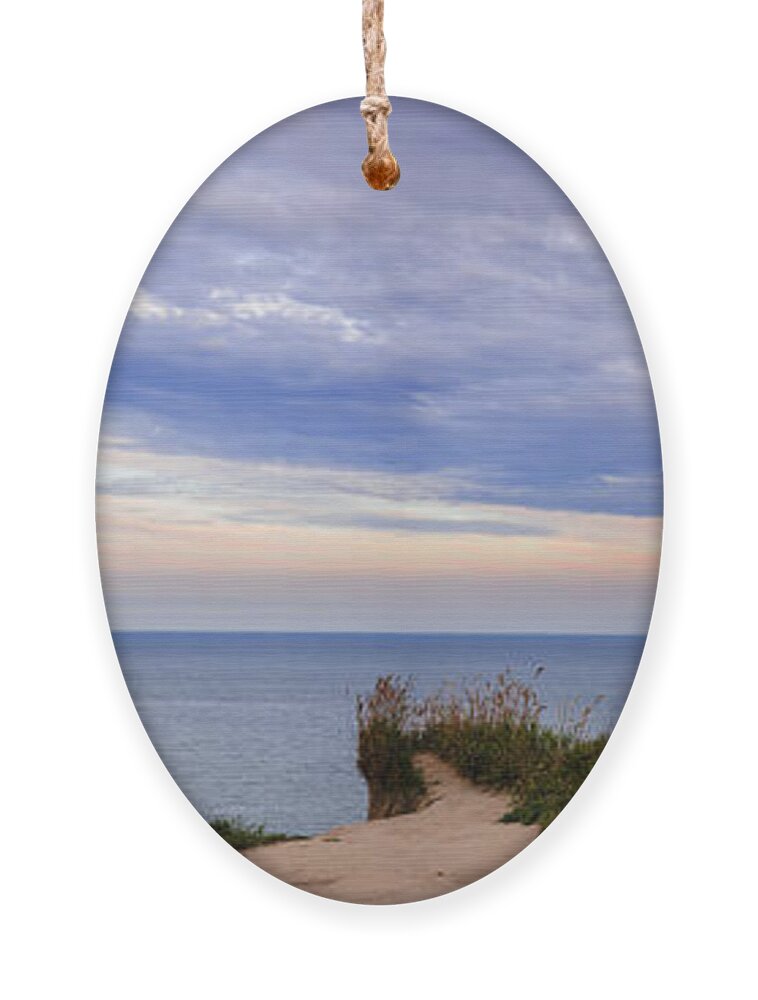 Landscape Ornament featuring the photograph Lake Ontario at Scarborough Bluffs by Elena Elisseeva