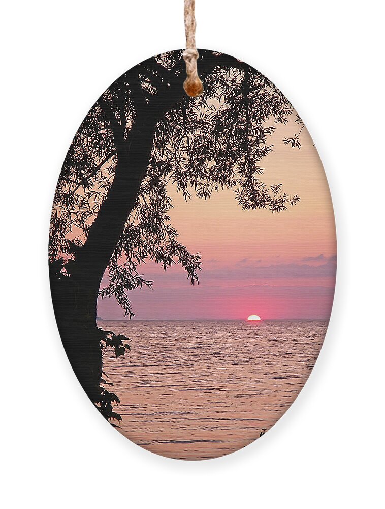 Sunset Ornament featuring the photograph Lake Sunset #1 by Aimee L Maher ALM GALLERY