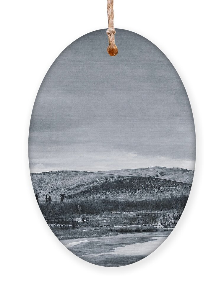 Mountain Ornament featuring the photograph Land Shapes 11 by Priska Wettstein