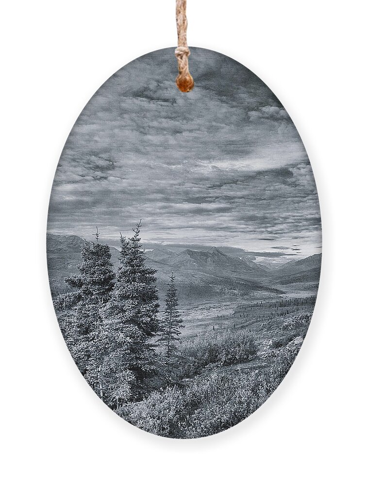Tree Ornament featuring the photograph Land Shapes 18 by Priska Wettstein