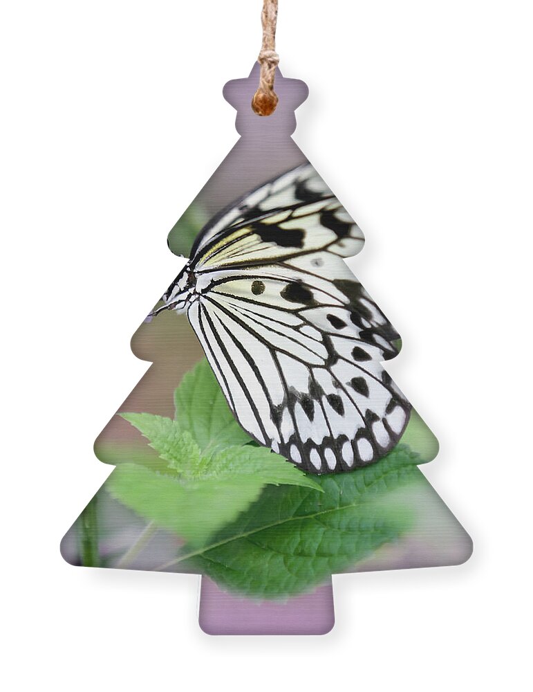 Art Ornament featuring the photograph Lavender Dreams by Sabrina L Ryan