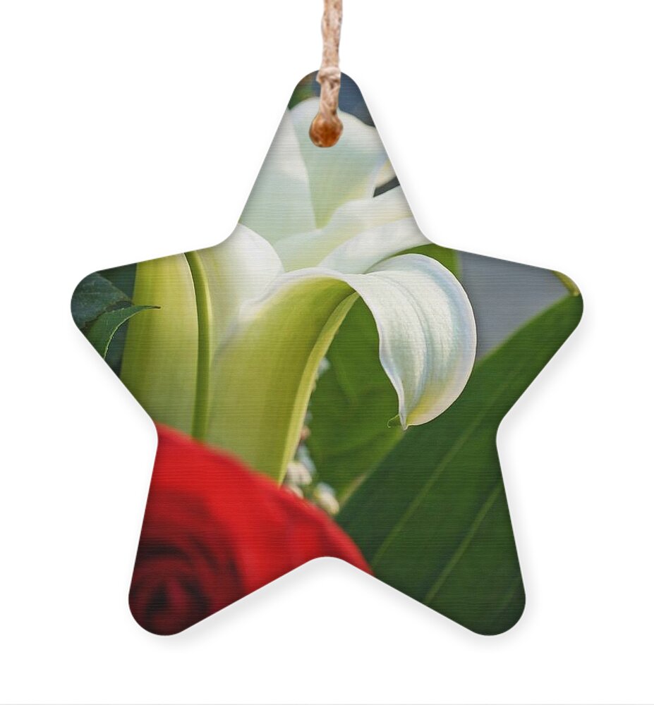 Lilly And Rose Ornament featuring the photograph Lilly and Rose by Photographic Arts And Design Studio