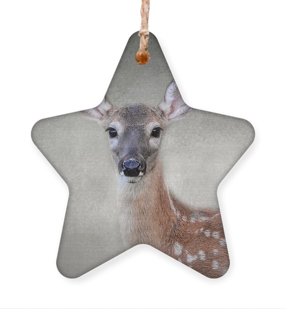 Jai Johnson Ornament featuring the photograph Little Miss Lashes - White Tailed Deer - Fawn by Jai Johnson