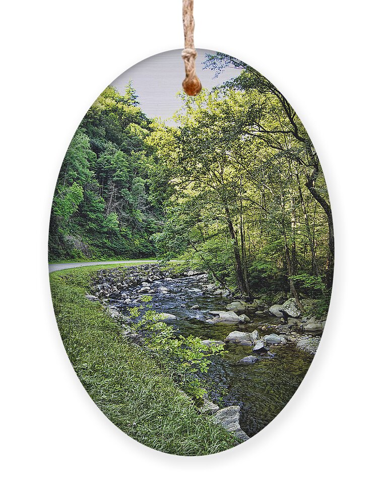 little River Ornament featuring the photograph Little River Road by Cricket Hackmann