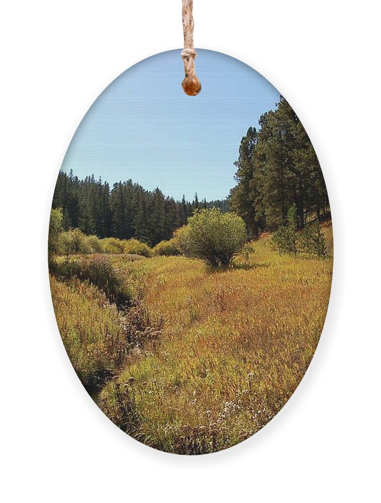 Little Spearfish Ornament featuring the photograph Little Spearfish Creek in Autumn by Greni Graph