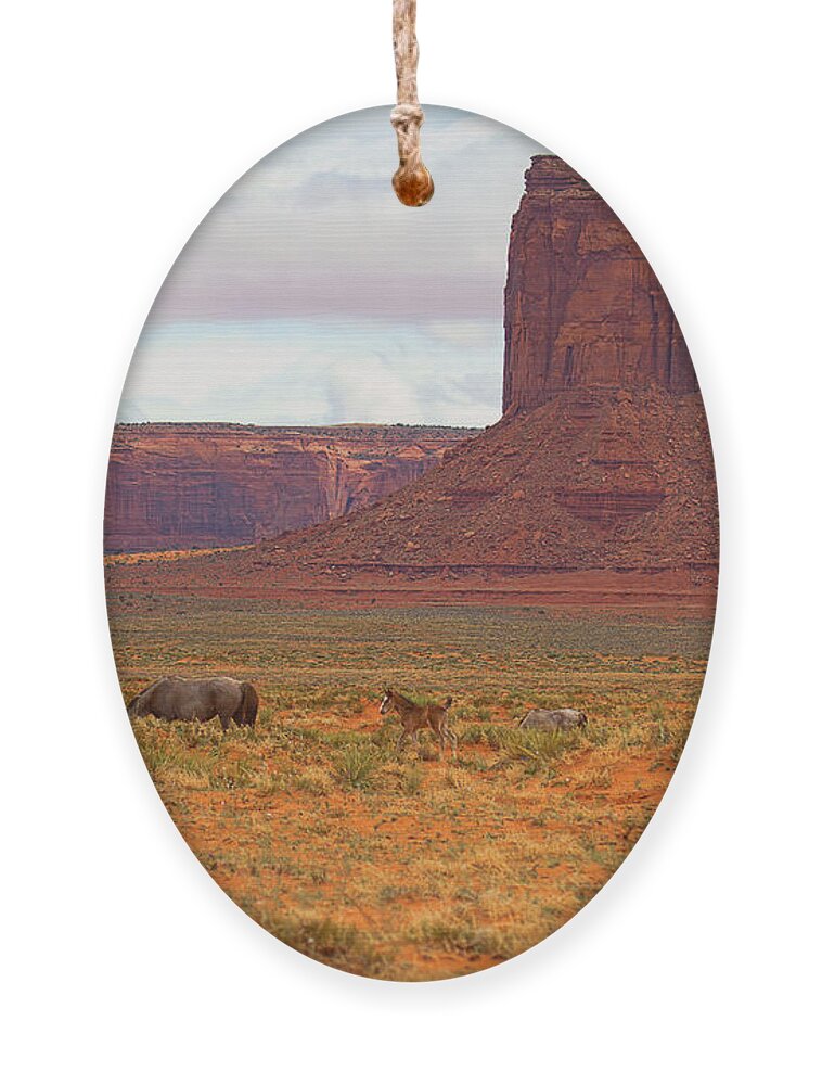 Red Soil Ornament featuring the photograph Living Beneath the Butte by Jim Garrison