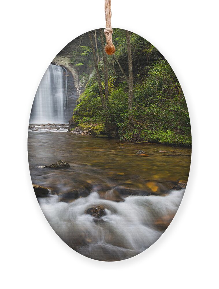 Looking Glass Falls Ornament featuring the photograph Looking Glass Falls - Blue Ridge Waterfalls Brevard NC by Dave Allen